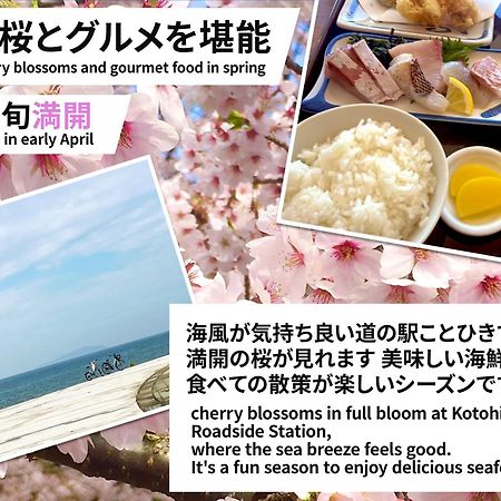 Guesthouse紫雲 Kanonji 外观 照片