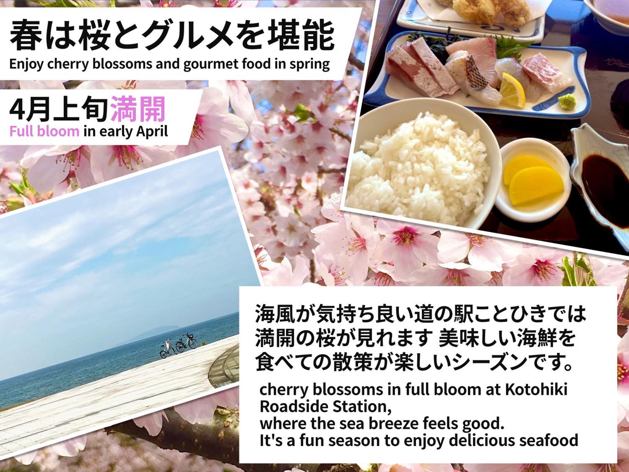 Guesthouse紫雲 Kanonji 外观 照片